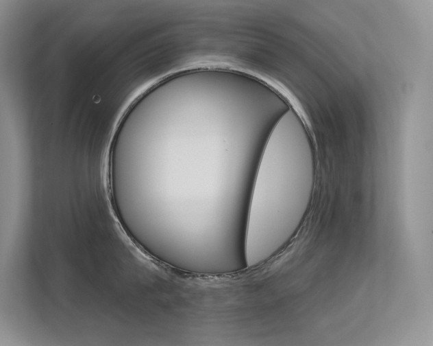 X0000113320815200909140945
