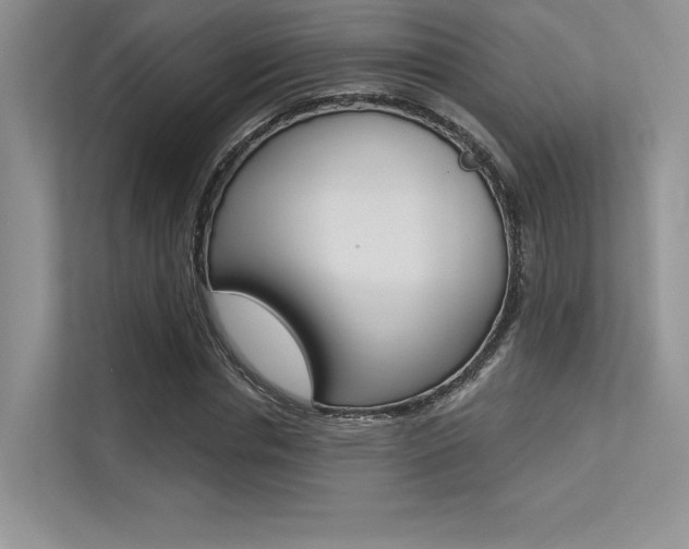 X0000113320826200909140945