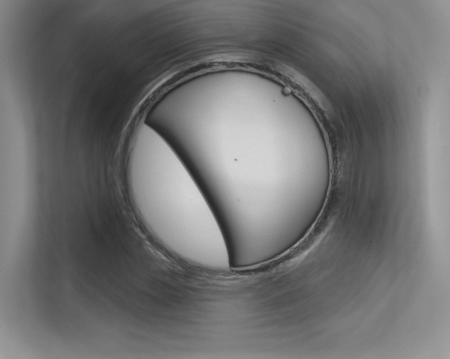 X0000113320829200909140945