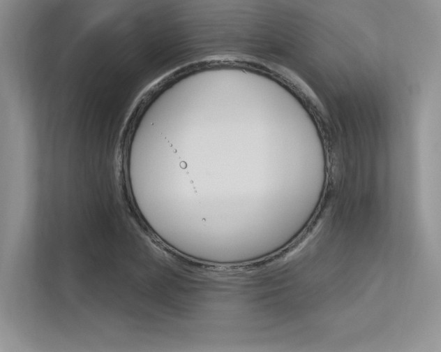 X0000113320831200909140945