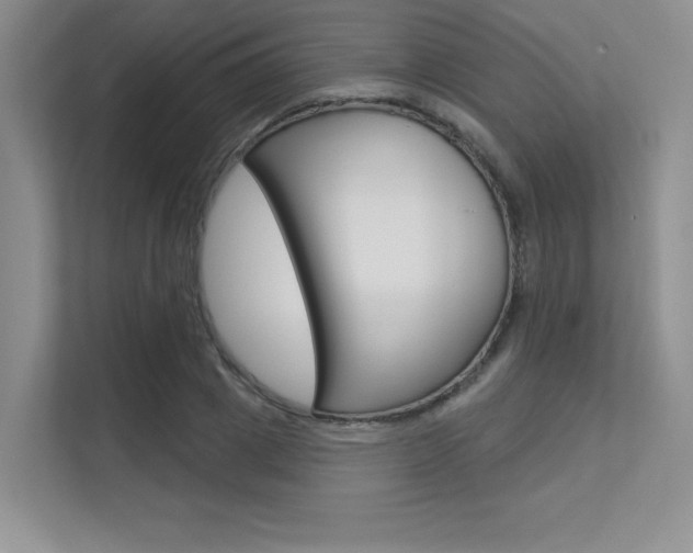 X0000113320833200909140945