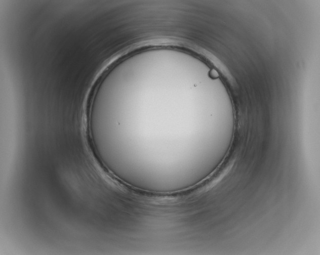 X0000113320837200909140945