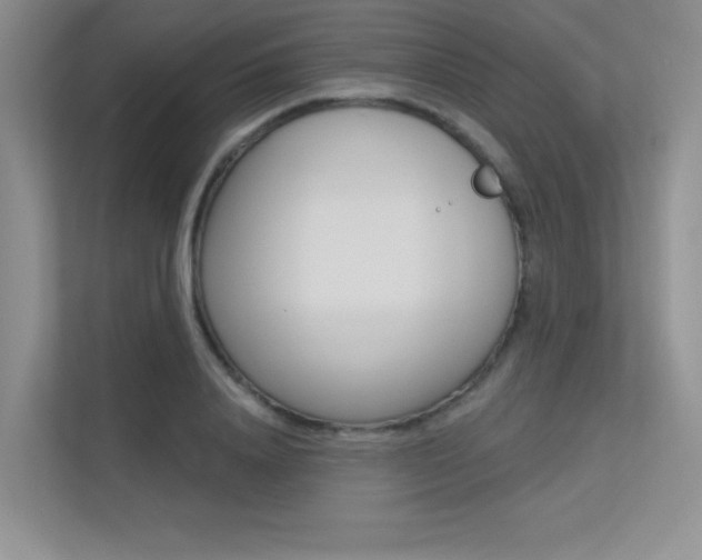X0000113320840200909140945