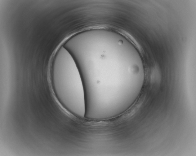 X0000113320851200909140945