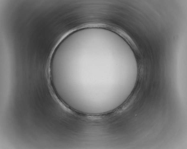 X0000113320852200909140945