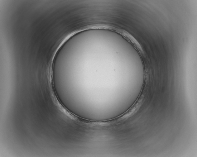 X0000113320860200909140945