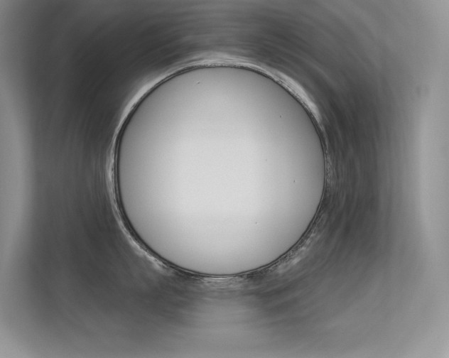 X0000113320863200909140945