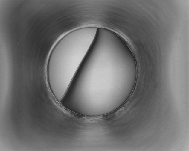 X0000113320864200909140945