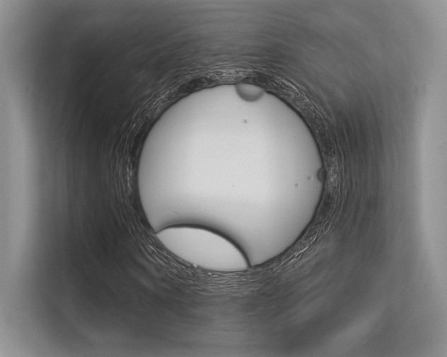 X0000113320866200909140945