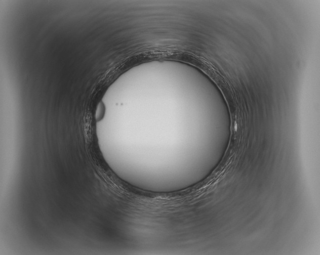 X0000113320867200909140945
