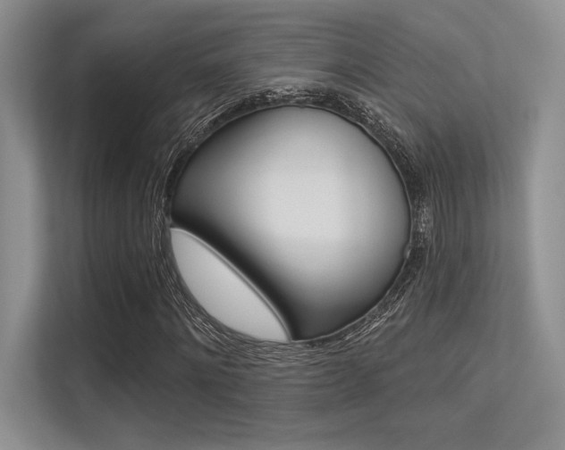 X0000113320868200909140945
