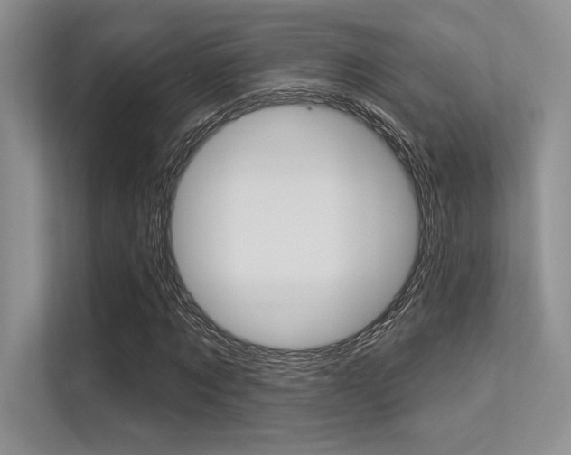 X0000113320869200909140945