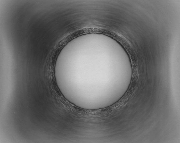 X0000113320870200909140945