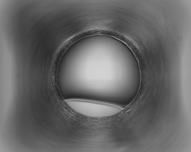 X0000113320872200909140945
