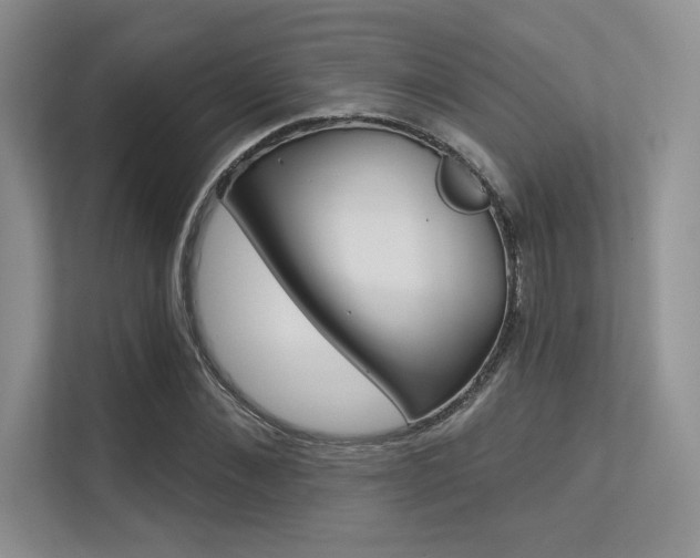 X0000113320876200909140945