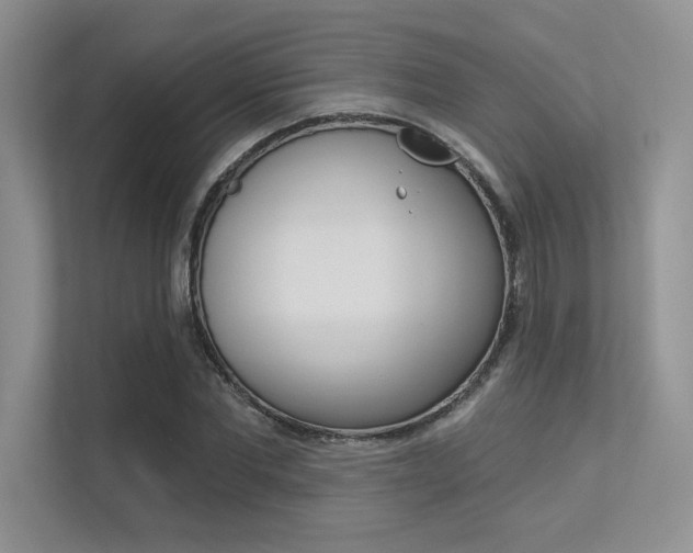 X0000113320877200909140945