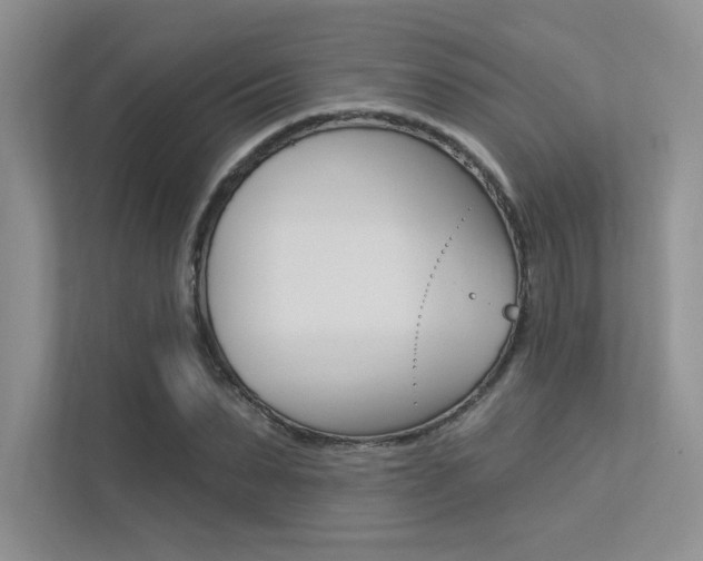 X0000113320879200909140945