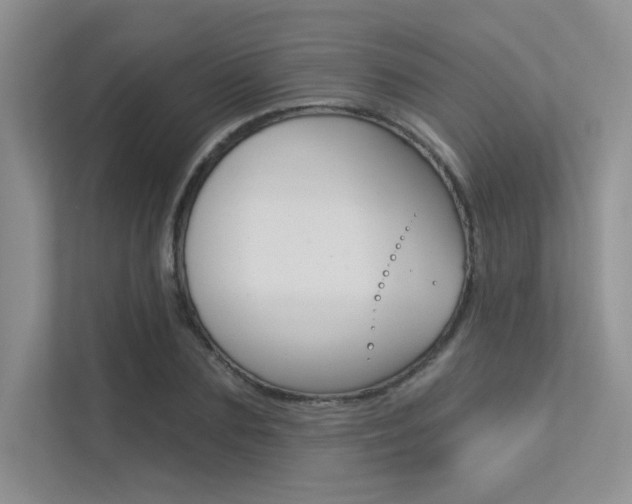 X0000113320883200909140945