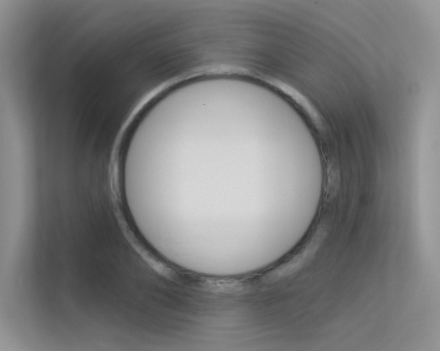 X0000113320886200909140945