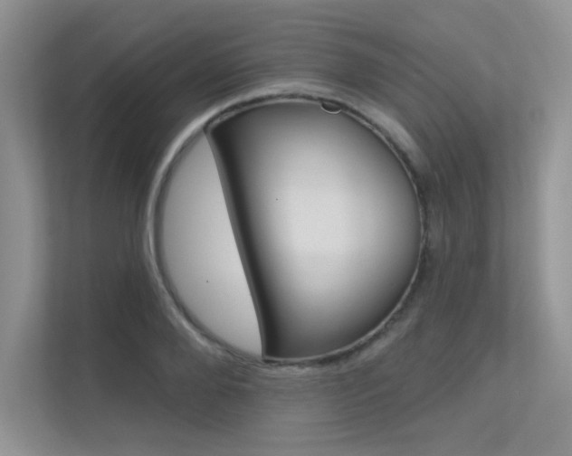 X0000113320888200909140945