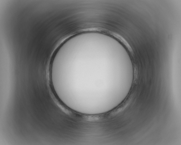 X0000113320890200909140944