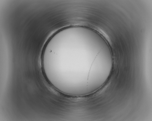 X0000113320891200909140944