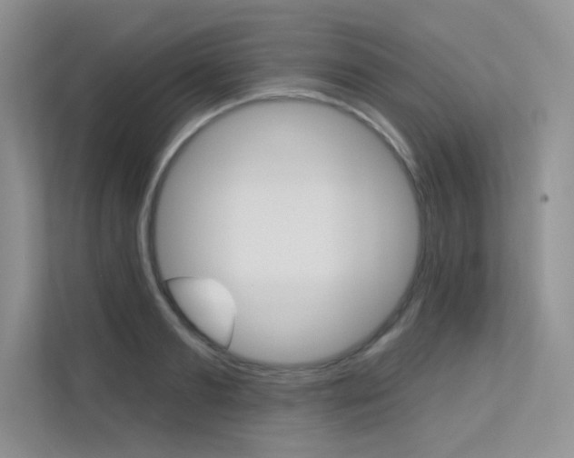 X0000113320893200909140944
