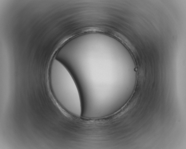 X0000113320898200909140944