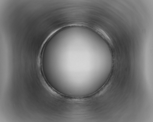 X0000113320900200909140944