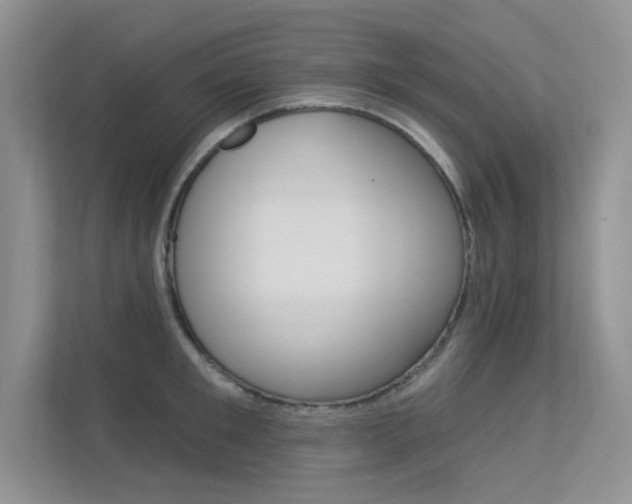 X0000113320901200909140944