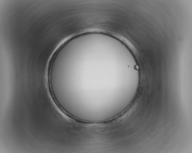 X0000113320902200909140944