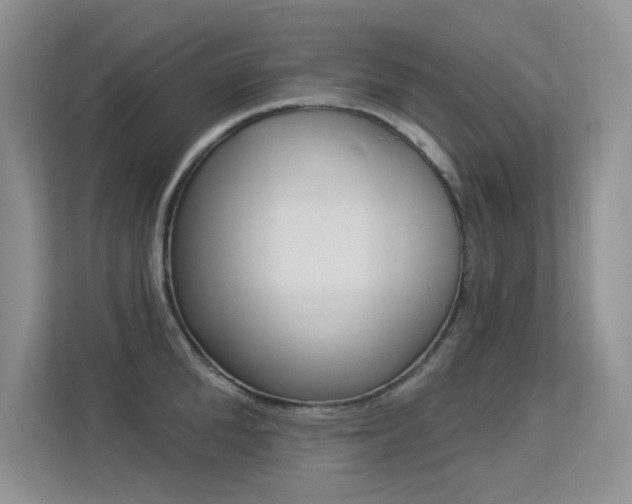 X0000113320904200909140944