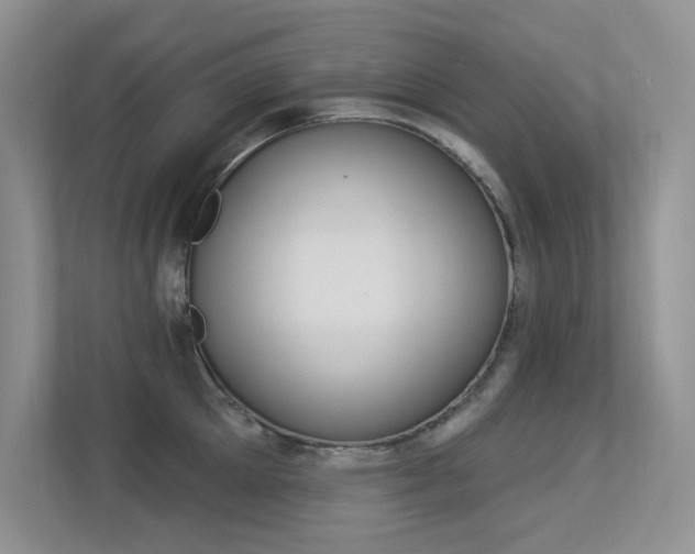 X0000113320905200909140944