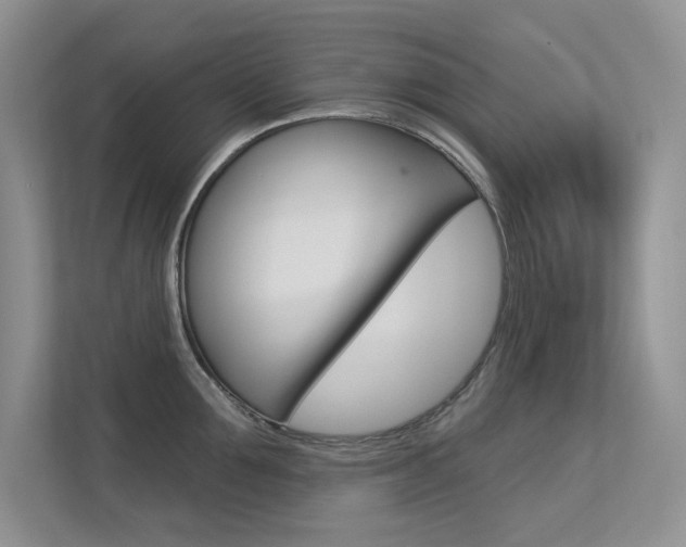 X0000113320907200909140944