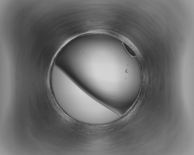 X0000113320908200909140944