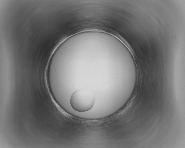 X0000113320909200909140944