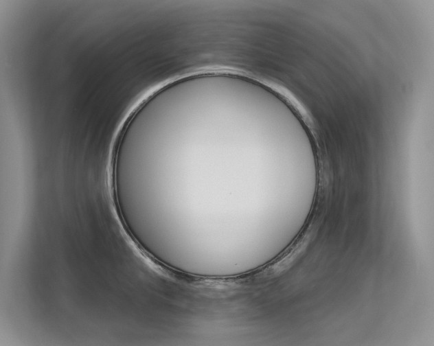 X0000113320910200909140944