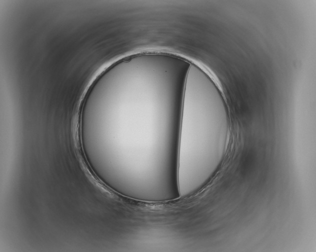 X0000113320911200909140944