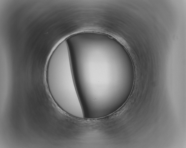 X0000113320912200909140944