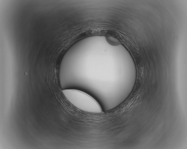 X0000113320914200909140944