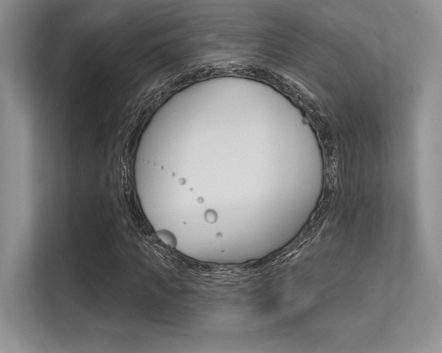 X0000113320917200909140944