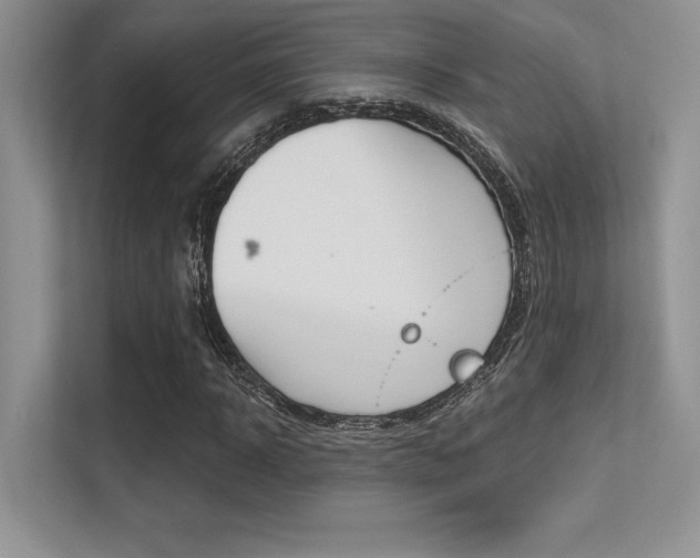 X0000113320918200909140944