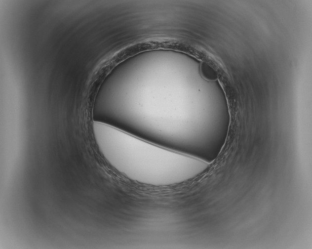 X0000113320920200909140944