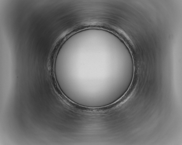 X0000113320922200909140944