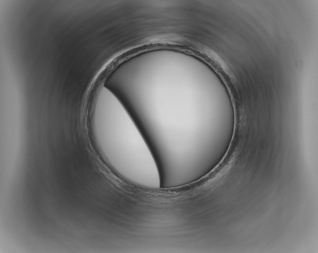 X0000113320923200909140944