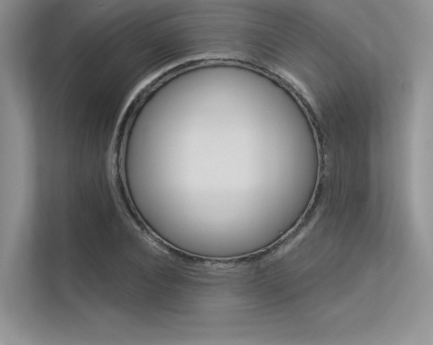 X0000113320928200909140944