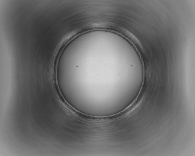 X0000113320930200909140944