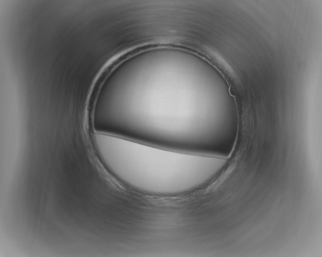 X0000113320932200909140944
