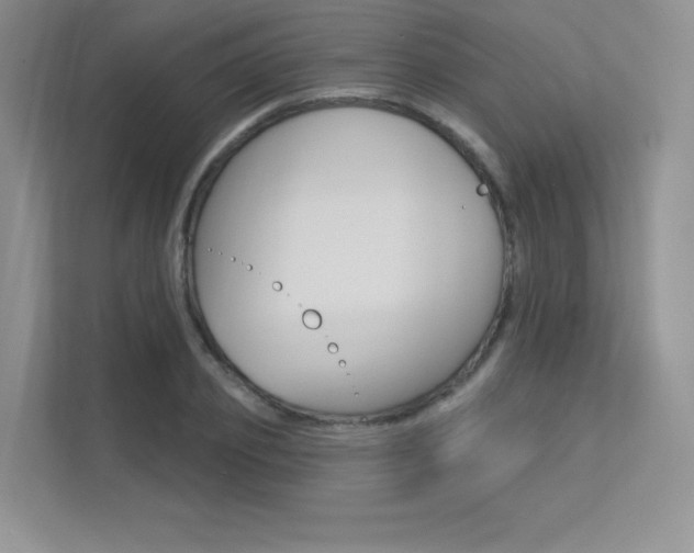 X0000113320933200909140944