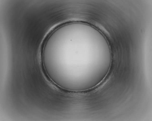 X0000113320934200909140944